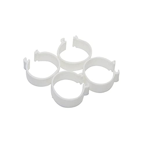 Hühnerbein Ringe， 60 Stück 2,5 cm Hühnerfußringe Clipring Wachtelfußringe(White) von VDCVADKYE