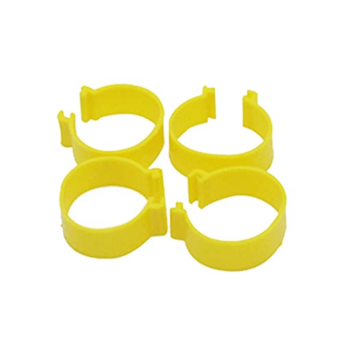 Hühnerbein Ringe， 60 Stück 2,5 cm Hühnerfußringe Clipring Wachtelfußringe(Yellow) von VDCVADKYE