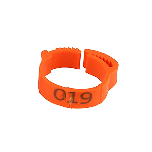 Hühnerbein Ringe， Verstellbare Hühnerfußringe, Innendurchmesser Größe 2~2,4 cm, flexible, einziehbare Fußringe(Orange) von VDCVADKYE