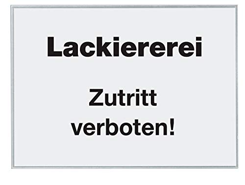 VELOFLEX 2206100 - Beschriftungsfenster selbstklebend, 105 x 148 mm, Selbstklebetaschen aus PP-Folie, 100 Stück von VELOFLEX