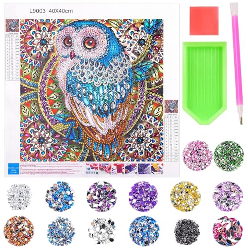 VEQENIFY Diamond Painting Kinder Eule,Diamant Painting Bilder Kinder mit Rahmen, 5D Diamond Art Anfänger Bilder, Mädchen Geschenk Ab 8 10 12 Jahre von VEQENIFY