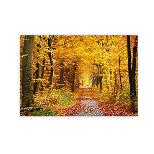 VFUNZA Natur Leinwandbild Herbstwald Landschaft Bild Druck auf Leinwand Landschaftsbilder auf Leinwand Wohnzimmer Dekor Poster und Drucke 40x60cm15.7x23.6in Ungerahmt von VFUNZA