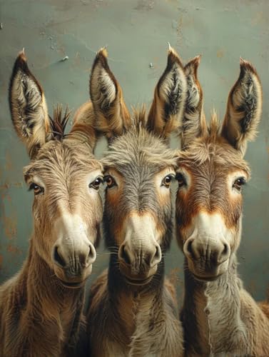 VGJM Animal DIY 5D Diamond Art, Donkey Diamond Painting Kits, circle Full Drill Crystal Art Kits for Adults Beginners, DIY Cross Stitch Embroidery Crafts Pictures, for Home Wall Decor, C-50x60cm von VGJM