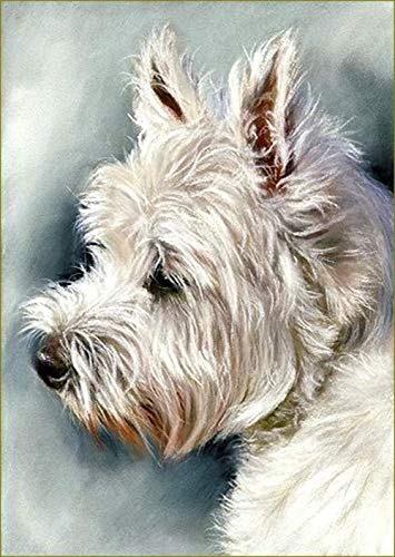 VGJM DIY 5D Diamond Painting Kits Westie Dog Full Drill Diamond Embroidery Craft Rhinestone Crystal Home Wall Decor 30x40cm von VGJM