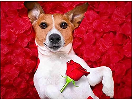 VGJM DIY Diamond Painting Jack Russell Terrier Dog Full Round Rhinestone Embroidery Kit Home Decor Gift 30x40cm von VGJM