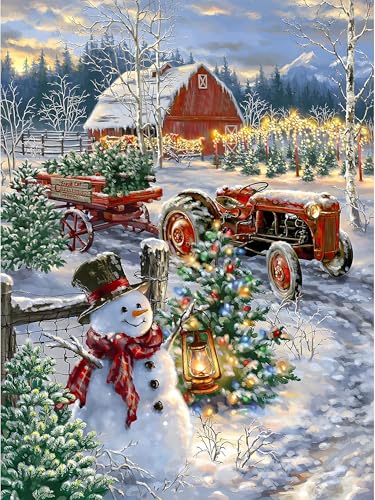 VGJM Diamond Painting Christmas Kits, 5D Diamond Painting Kits for Adults Beginner, 5D Diamond Art Christmas Snowman Kits Adults, DIY Diamond Painting Picture Arts Christmas Snowman Gem Arts 40x40cm von VGJM