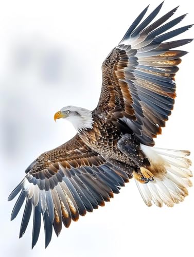 VGJM Eagle DIY 5D Diamond Art, Bird Diamond Painting Kits, circle Full Drill Crystal Art Kits for Adults Beginners, DIY Cross Stitch Embroidery Crafts Pictures, for Home Wall Decor, 40x40cm von VGJM