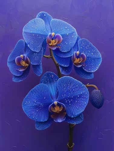 VGJM Flower Diamond Art Kits Adults, Plant 5D Diamond Painting for Beginners, DIY circle Full Drill Crystal Art Kits, Crystal Cross Stitch Embroidery Crafts, for Home Wall Decor, Gifts P-40x50cm von VGJM