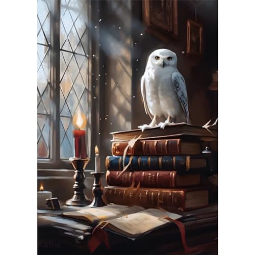 VGJM Owl Diamond Painting Kits for Adults, Library Diamond Art Kits Adults,5D Crystal Art Kits,Full Drill Gem Art Craft Kit, Diamond Dot Kits for Home Decor 50x60cm von VGJM