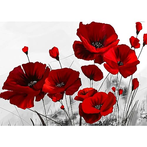 VGJM Poppies Diamond Painting Kits, DIY Flower Diamond Art Kits for Adults Beginner, 5D Gem Art Painting Kit with Round Diamonds Picture Crafts for Wall Decor Gifts40x40cm von VGJM