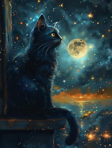 VGJM Starry Sky DIY 5D Diamond Art, Cat Diamond Painting Kits, circle Full Drill Crystal Art Kits for Adults Beginners, DIY Cross Stitch Embroidery Crafts Pictures, for Home Wall Decor, 40x40cm von VGJM