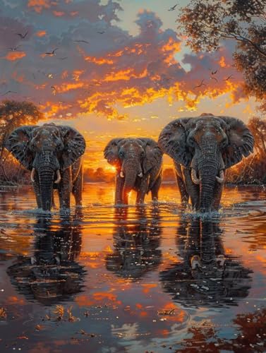 VGJM Sunset DIY 5D Diamond Art, Elephant Diamond Painting Kits, circle Full Drill Crystal Art Kits for Adults Beginners, DIY Cross Stitch Embroidery Crafts Pictures, for Home Wall Decor, 50x50cm von VGJM