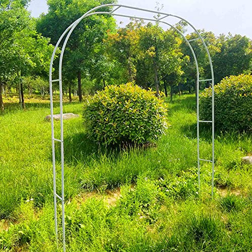VGVSBG 1,2 x 2,2 m, 3,5 x 2,2 m, robuster Gartenbogen, Rosenbögen aus Metall, Spalier für Pergolen und Lauben für Hochzeiten, Rohrdurchmesser: 19 mm, Farbe: Schwarz, W von VGVSBG