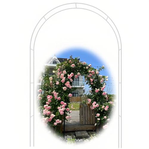 VGVSBG Gartenbogen mit Metallrahmen, traditioneller dekorativer Torbogen für Wege/Eingänge, 94,4 x 55,1 x 14,9 Zoll, Gartenlaubenbogen für Rosen, Kletterpflanzen, Stü von VGVSBG
