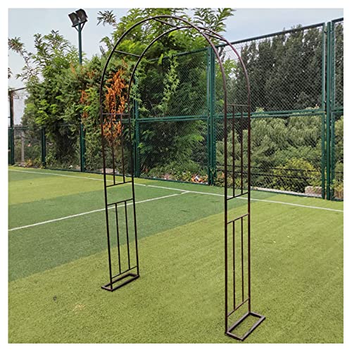 VGVSBG Gartenlaube aus Metall für Kletterpflanzen im Freien, großes Rosengewächs, Gartenspalier für Kletterpflanzen im Freien, Hochzeits- und Partygewächse, B120 x H24 von VGVSBG