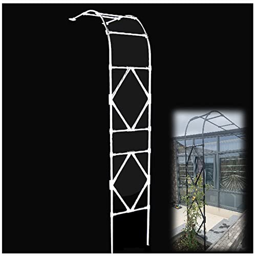 VGVSBG Halbseitiger Garten 240 cm Stahl Rosenweg für Tür Wege Eingänge Spalier Pergola von VGVSBG