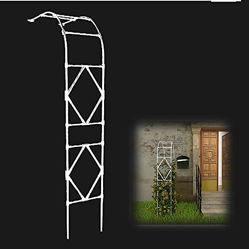 VGVSBG Halbseitiges Rosenlauben-Pergola-Spalier, Metall-Blumenständer für den Garten, Außenweg-Stützrahmen für den Außenbereich, Terrasse, Gartenweg-Gartendekoration von VGVSBG