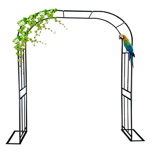 VGVSBG Metall-Gartenlaube, Rahmen, Hochzeitsstall, Rosenweg, Spalier für Außen- und Innenlaube, Hochzeitsgarten, Kletterpflanzen, 150 x 240 cm, 300 x 240 cm von VGVSBG