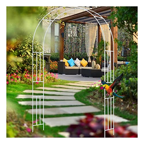 VGVSBG Rankgitter für den Garten im Freien, aus Stahl und Metall, Hintergrundständer für Kletterpflanzen, robuster Hochzeitsweg-Tunnel, 180 x 240 cm, 300 x 240 cm von VGVSBG