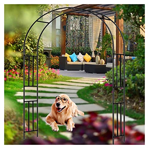 VGVSBG Rankgitter für den Garten im Freien, aus Stahl und Metall, Hintergrundständer für Kletterpflanzen, robuster Hochzeitsweg-Tunnel, 180 x 240 cm, 300 x 240 cm von VGVSBG