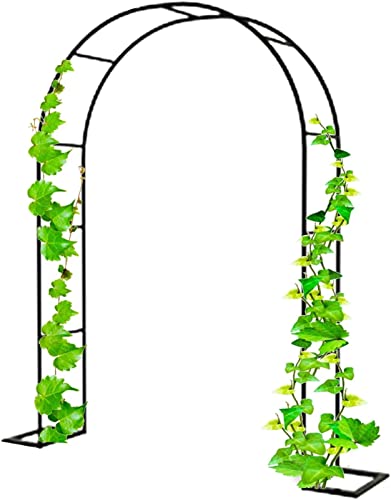 VGVSBG Robuster Gartenbogen, große Kletterpflanzen, Rankgitter, Pergola-Laube, Rosenbögen aus Metall, Torbogen, rostfreier röhrenförmiger Rankgitter-Laube, Blumenstän von VGVSBG