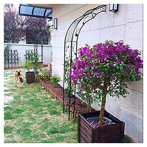 VGVSBG Rosenspalier, Wandgarderobe, Gartenlaube für Kletterpflanzen, Pergola, Wegelaube, Eisenhälfte, wetterfest, HBT: 250 x 39 x 75 cm, schwarz von VGVSBG