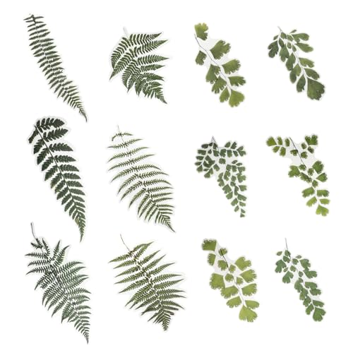 VICASKY 12blätter Große Pflanzenscrapbooking Aufkleber Pet Sticker Für Alben Tagebücher Und Dekoration Teiliges Mit Floralen Motiven VICASKY 12blätter Große Pflanzenscrapbooking Aufkleber Pet Sticker Für Alben Tagebücher Und Dekoration Teiliges Mit Floralen Motiven von VICASKY