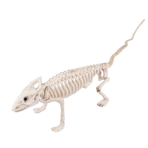 VICASKY 1Stück Halloween Skelett Lizard Dekoration Gruselige Tischornament für Halloween Partys und Dekorationen Wiederverwendbar aus Hochwertigem Plastik für Drinnen und Draußen VICASKY 1Stück Halloween Skelett Lizard Dekoration Gruselige Tischornament für Halloween Partys und Dekorationen Wiederverwendbar aus Hochwertigem Plastik für Drinnen und Draußen von VICASKY