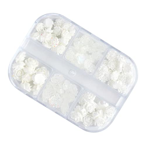 VICASKY 2 Boxen Nail Art Zubehör Set Boxen mit Resin Blumen für Kreative Nageldesigns für Diy Nagelkunst und Nagelstudios Dekorationen für von VICASKY