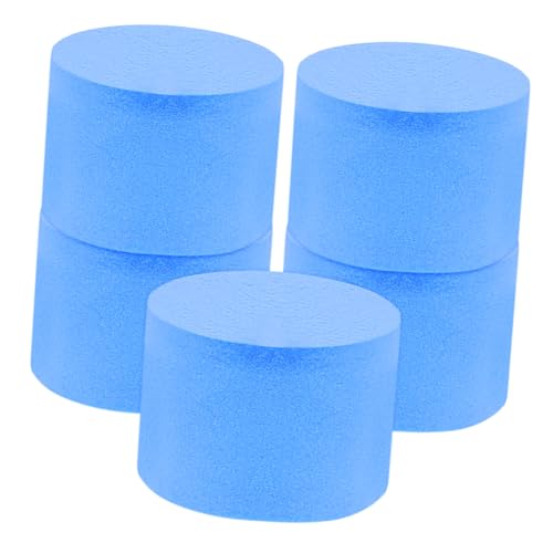 VICASKY 5 Stück Reagenzglas Wasserblockierende Baumwollschwämme Reagenzgläser Schwammersatz Aquarium Schwamm Pumpenschwamm Natur Lernspielzeug Haustier Ameisenbedarf VICASKY 5 Stück Reagenzglas Wasserblockierende Baumwollschwämme Reagenzgläser Schwammersatz Aquarium Schwamm Pumpenschwamm Natur Lernspielzeug Haustier Ameisenbedarf von VICASKY
