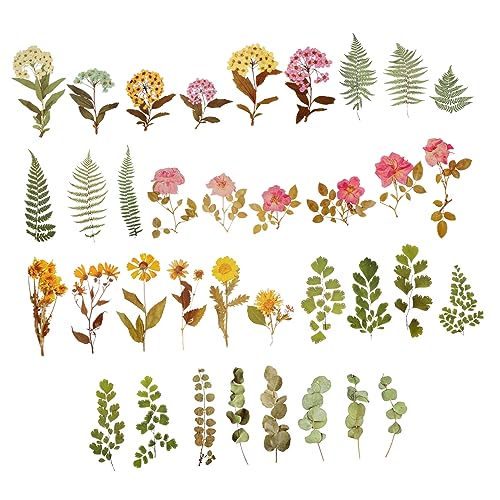 VICASKY 6er-Packungen Pflanzentaschenaufkleber DIY Dekorativer Aufkleber Scrapbook-Sticker Selber Machen Dekorationsaufkleber Notebook-Aufkleber DIY Dekoratives Zubehör Das Haustier VICASKY 6er-Packungen Pflanzentaschenaufkleber DIY Dekorativer Aufkleber Scrapbook-Sticker Selber Machen Dekorationsaufkleber Notebook-Aufkleber DIY Dekoratives Zubehör Das Haustier von VICASKY