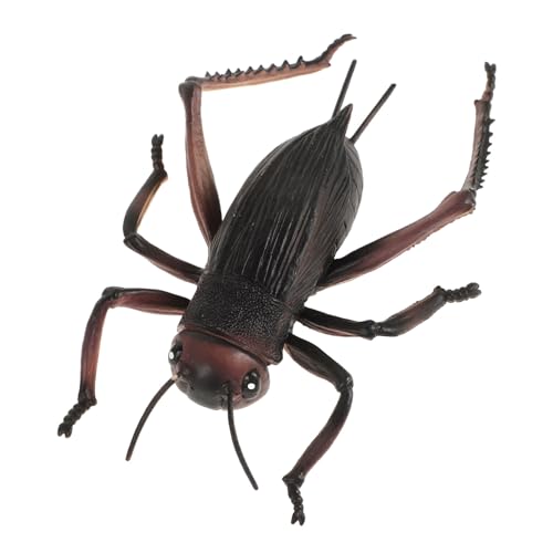 VICASKY Realistisches PVC Cricket Modell Groß Dekorative Figurine Langlebige Tischdekoration für Wohnzimmer und Büro Detailgetreue Nachbildung als Schreibtisch Schmuck von VICASKY