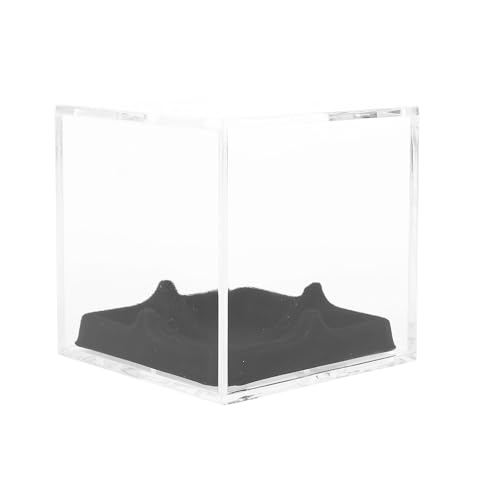 VICASKY Transparente Aufbewahrungsbox für Kleine Bälle mit Schwarzem Sockel Stoßfester Baseball und Tennis Ball Display Halter Praktische Sortierbox für Sammler und Sportfans VICASKY Transparente Aufbewahrungsbox für Kleine Bälle mit Schwarzem Sockel Stoßfester Baseball und Tennis Ball Display Halter Praktische Sortierbox für Sammler und Sportfans von VICASKY