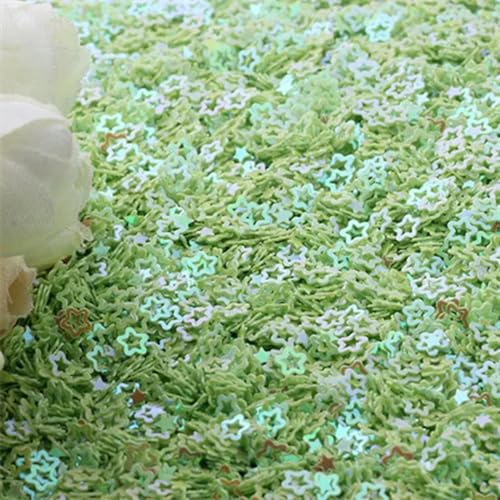 VICIYOO 4mm Hohlpailletten Nagelverzierungen Pailletten für Handwerk Handarbeit Dekor Füllen Glitter Star Paillette DIY von VICIYOO