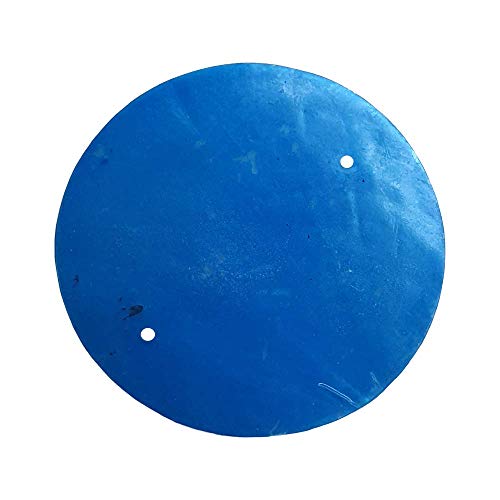VIE Shell-Disc, Türkis, 5 cm VIE Shell-Disc, Türkis, 5 cm von VIE