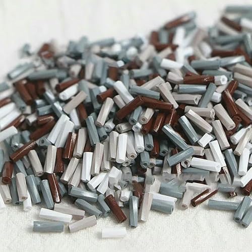 2 x 6 mm einfarbige Spiralröhrenperlen, handgefertigte DIY-Perlen, lose Perlen, Glasreisperlen, Armband-Halskettenmaterial, TW-Graukaffee, 2 x 6 mm, 100 g, 2600 Stück 2 x 6 mm einfarbige Spiralröhrenperlen, handgefertigte DIY-Perlen, lose Perlen, Glasreisperlen, Armband-Halskettenmaterial, TW-Graukaffee, 2 x 6 mm, 100 g, 2600 Stück von VIEPGJ