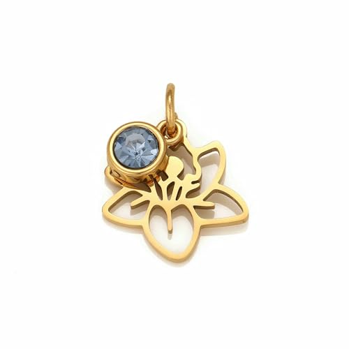 5 Stück Edelstahl 12 Geburtsblumen-Charms mit Geburtssteinen, Strass-Perlen, Kristall-Anhänger für DIY-Halsketten, Armbänder, Schmuckherstellung-3 5 Stück Edelstahl 12 Geburtsblumen-Charms mit Geburtssteinen, Strass-Perlen, Kristall-Anhänger für DIY-Halsketten, Armbänder, Schmuckherstellung-3 von VIEPGJ