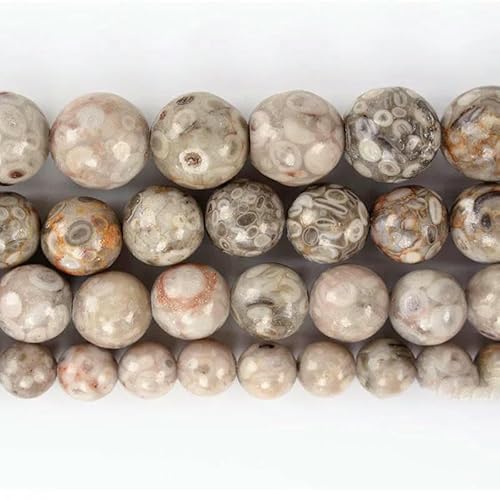 Glatter Naturstein, blaue Türkise, runde lose Perlen, 38,1 cm Strang, 4, 6, 8, 10, 12 mm, Auswahlgröße zur Schmuckherstellung, Graue Chrysantheme, 8 mm, 45 bis 48 Stück Glatter Naturstein, blaue Türkise, runde lose Perlen, 38,1 cm Strang, 4, 6, 8, 10, 12 mm, Auswahlgröße zur Schmuckherstellung, Graue Chrysantheme, 8 mm, 45 bis 48 Stück von VIEPGJ