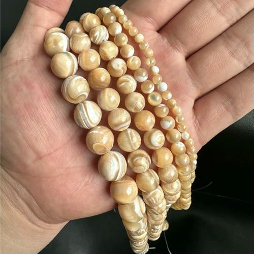 Runde natürliche gelbe Trochus-Muschelperle in Kaffeefarbe, 4 6 8 10 12 mm, Abstandshalter-Muschelperle für Schmuck, DIY-Armband, Halskette, Zubehör, 10 mm, ca. 32 Stück von VIEPGJ