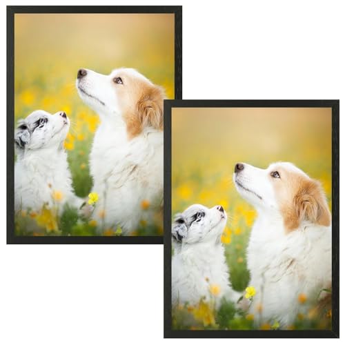 VIIBASE A4 Zertifikat Bilderrahmen,Schwarzer Holz Fotorahmen,Posterrahmen mit Plexiglas für Wandmontage Display,21x30 cm, 2er Set von VIIBASE