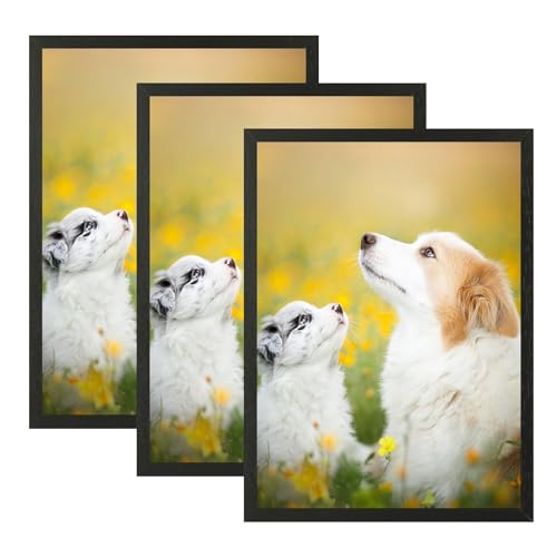 VIIBASE A4 Zertifikat Bilderrahmen,Schwarzer Holz Fotorahmen,Posterrahmen mit Plexiglas für Wandmontage Display,21x30 cm, 3er Set von VIIBASE