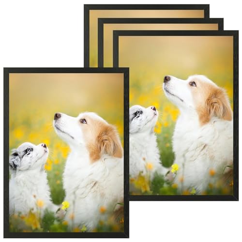 VIIBASE A5 Zertifikat Bilderrahmen,Schwarzer Holz Fotorahmen,Posterrahmen mit Plexi-glas für Wandmontage Display,15x21 cm, 4er Set VIIBASE A5 Zertifikat Bilderrahmen,Schwarzer Holz Fotorahmen,Posterrahmen mit Plexi-glas für Wandmontage Display,15x21 cm, 4er Set von VIIBASE