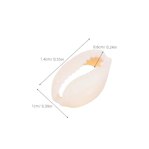VILLCASE 2 Packungen Natürliche Spiralmuschel Anhänger Leichtes Handmade Shell Schmuck Zubehör für DIY Schmuckherstellung und Wohnkultur Nachhaltige Muschel Charms für Bastelprojekte von VILLCASE