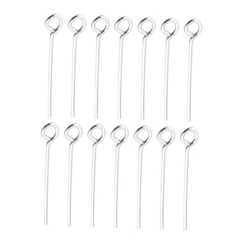 VILLCASE 200 Stück Edelstahl Nadel mit Offenem Ösenkopf für DIY Schmuckherstellung Zubehör Robust Korrosionsbeständig für Halsketten Armbänder Ohrringe VILLCASE 200 Stück Edelstahl Nadel mit Offenem Ösenkopf für DIY Schmuckherstellung Zubehör Robust Korrosionsbeständig für Halsketten Armbänder Ohrringe von VILLCASE