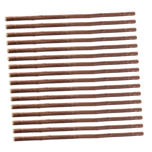 VILLCASE 50 Stück Natürliche Getrocknete Zweige für Bastelarbeiten Diy Holzstäbchen für Schulprojekte Dekoration und Kreative Ideen Lange Naturmaterialien VILLCASE 50 Stück Natürliche Getrocknete Zweige für Bastelarbeiten Diy Holzstäbchen für Schulprojekte Dekoration und Kreative Ideen Lange Naturmaterialien von VILLCASE
