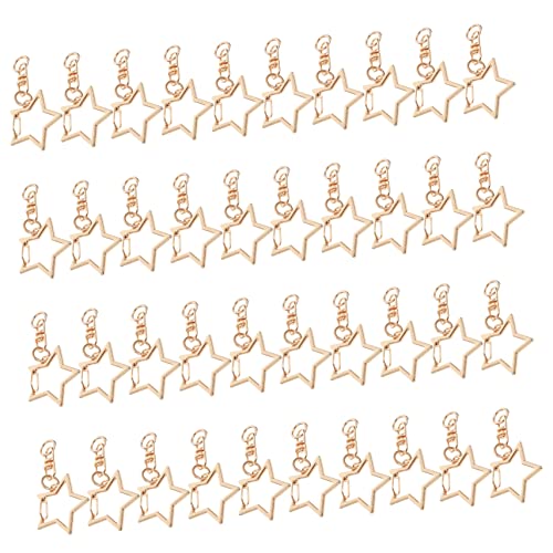 VILLCASE 60 Stück Diy Metall Schlüsselanhänger mit Drehbarem Karabinerhaken Sternform Schlüsselring Clips für Bastelprojekte Langlebig und Vielseitig Einsetzbar für Schlüsselanhänger von VILLCASE