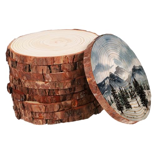 10Stücke Untersetzer Naturholz Runde Holzscheiben für DIY Bastelprojekte Heimdekoration und Unbehandelte Baumscheiben für Rustikale von VILLFUL