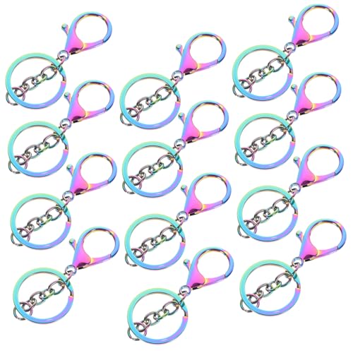 VILLFUL 12 Stück Karabiner Schlüsselanhänger Clips, Schlüsselanhänger Clip Haken, Schlüsselanhänger Zum Basteln, Schlüsselanhänger, Ringe Zum Basteln, Karabinerverschlüsse, von VILLFUL