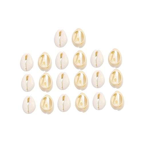 VILLFUL 20 Stück Teiliges DIY Muschelset Natürliche Conch Ornamente für Anhänger Armband Schmuckherstellung Leichte Spiral muscheln für Individuellen Schmuck DIY VILLFUL 20 Stück Teiliges DIY Muschelset Natürliche Conch Ornamente für Anhänger Armband Schmuckherstellung Leichte Spiral muscheln für Individuellen Schmuck DIY von VILLFUL