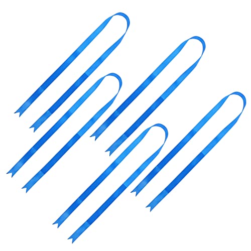 VILLFUL Schleifenband Geschenkverpackung Dekoband Polyester Ornament Für Abschlussfeiern Party-dekoration Bastelmaterial Bänder Zum Selbermachen von VILLFUL